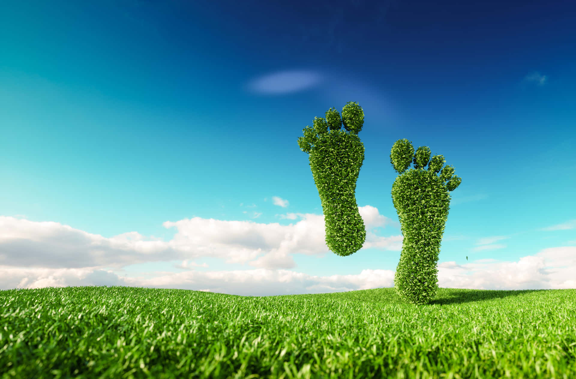 reduce-that-footprint-workshop