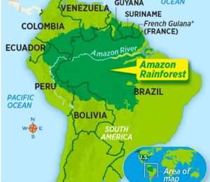 AMAZON FOREST = LUNGS OF THE EARTH